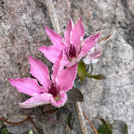 Oslofjord Idyll Penzion 4*