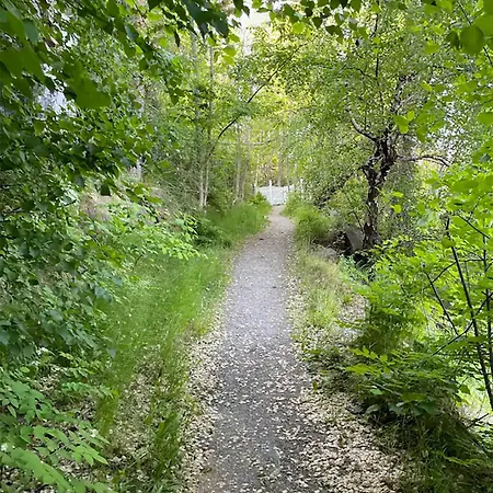 Oslofjord Idyll