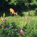 Gasthof Oslofjord Idyll 4*